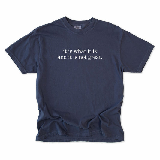 It Is What It Is And It Is Not Great Tee - Navy